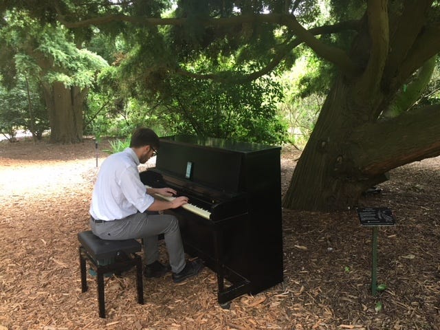 The Flower Piano festival is underway at the San Francisco Botanical Garden, allowing Barrett Feuis, 24, of Shanghai, to play some favorite melodies.