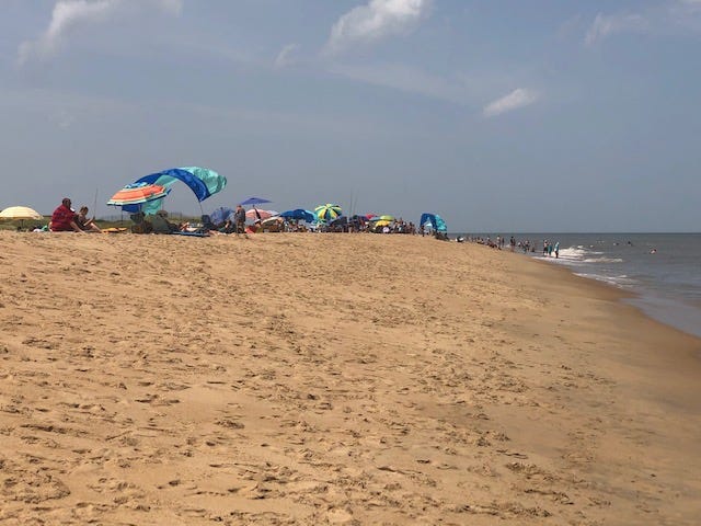 Beach Life