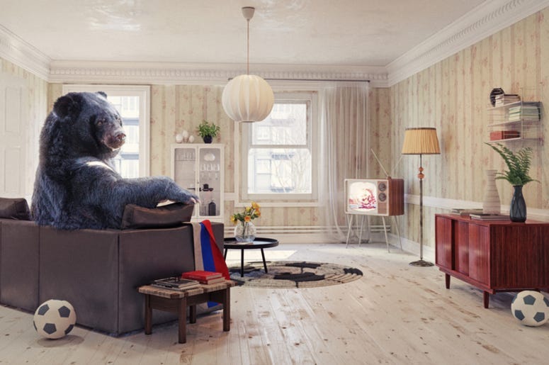 Bear sitting on sofa
