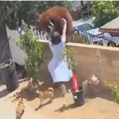 17 Year Old Girl Fends Off Brown Bear