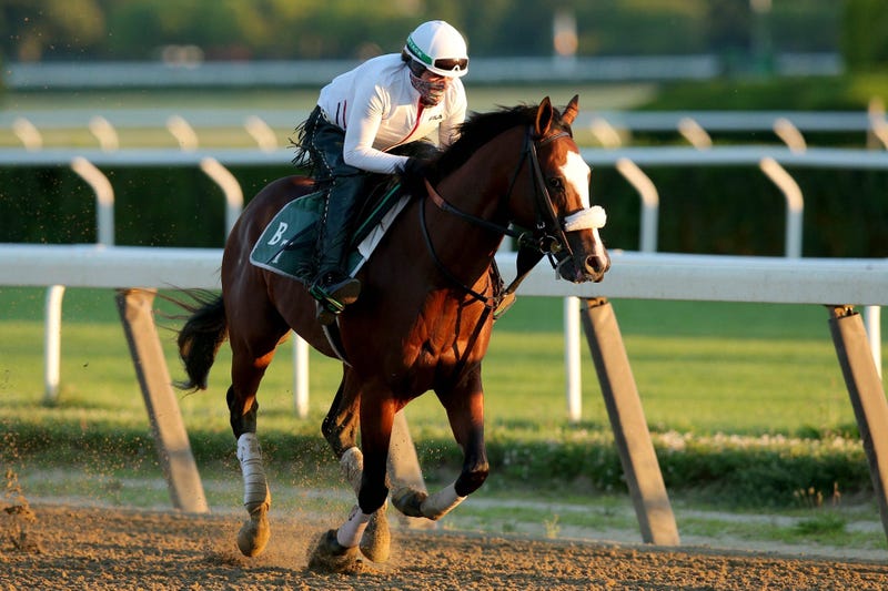 Belmont Stakes favorite Tiz the Law