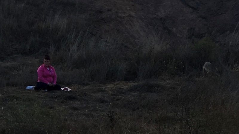 San Francisco Animal Care and Control are looking for a woman, whom they said is “a particularly egregious coyote feeder” and has purportedly fed coyotes throughout the city.