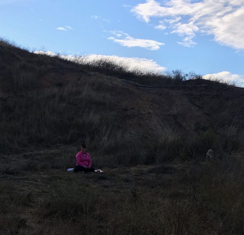 San Francisco Animal Care and Control are looking for a woman, whom they said is “a particularly egregious coyote feeder” and has purportedly fed coyotes throughout the city.