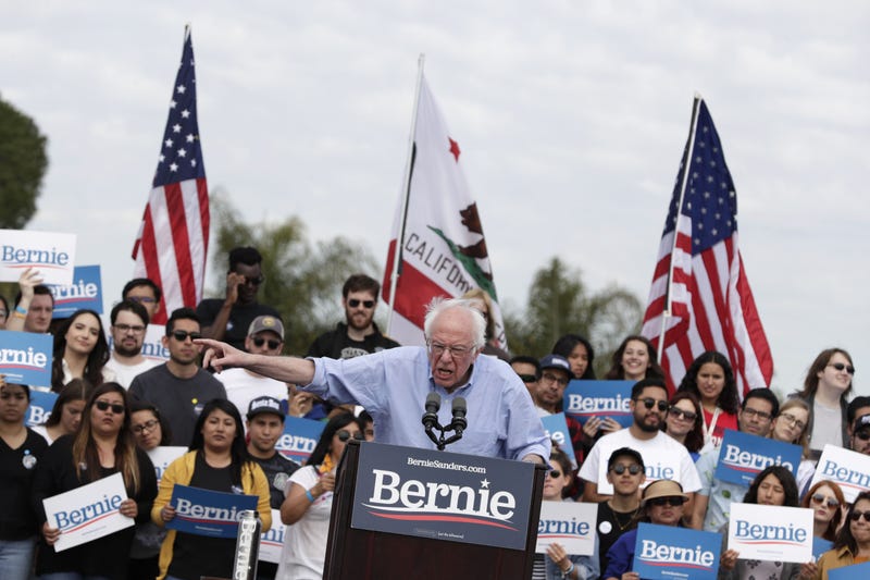 Bernie Sanders Rally Cali