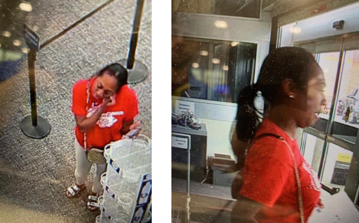 woman wanted for allegedly stealing a MacBook Pro from a Long Island Best Buy store last August.