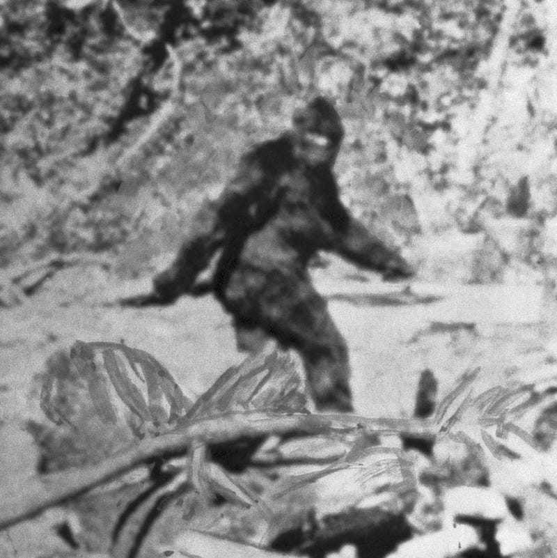 New Legislation in Oklahoma Calls for Bigfoot Hunting Season