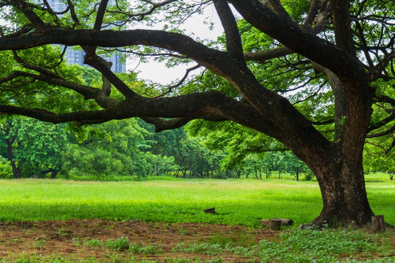 Photo byTisomboon
