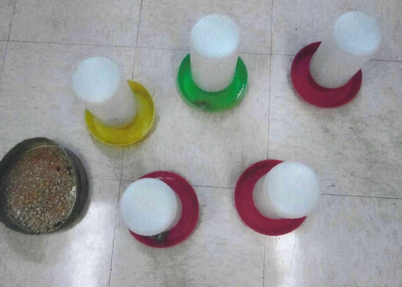 makeshift bird feeders found containing poison in Bucks County