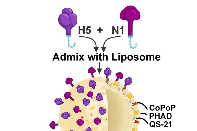 Scientists at the University at Buffalo are working on a potential new vaccine to combat bird flu. They say it may be easier to produce than egg-based vaccines. 