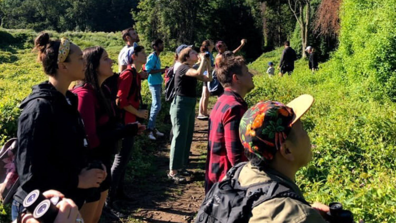 Building a queer-friendly community of bird-watchers