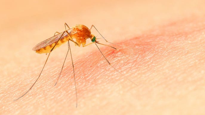 5th Person Dies In Michigan From EEE Virus