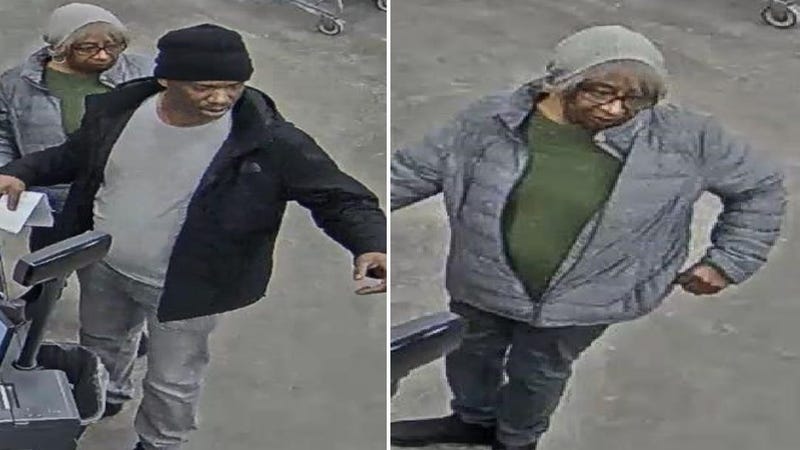 bloomfield township theft suspects