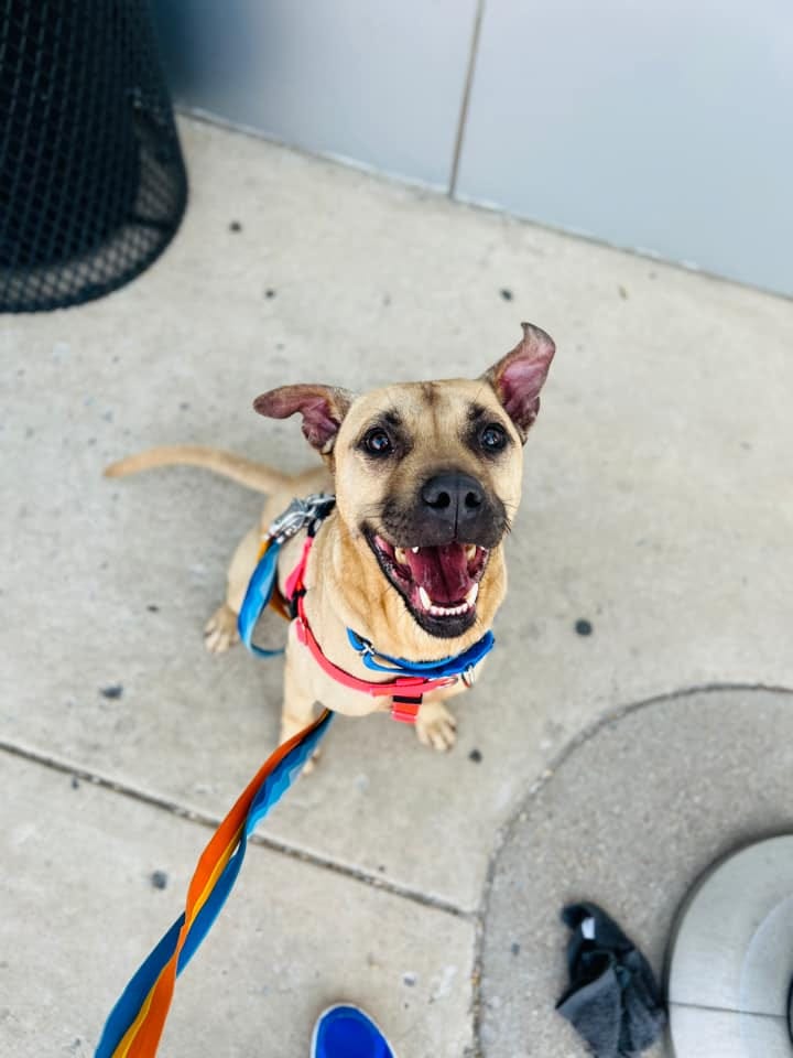 Bobby # A1087965