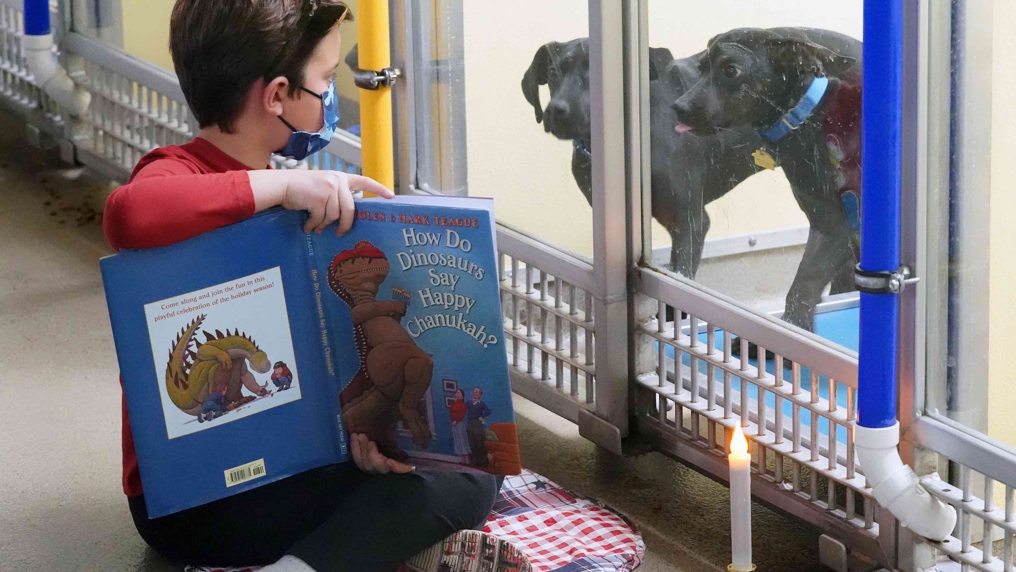 PHOTOS: Children read books to dogs in St. Louis to help them get adopted