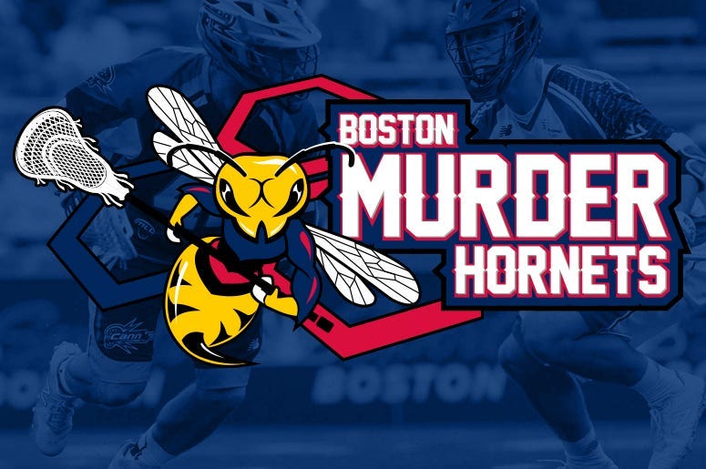 Boston_MurderHornets_775x515.jpg