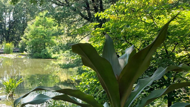 Botanica: The Wichita Gardens