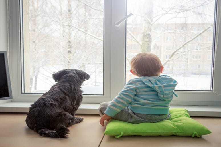 Boy_and_Dog