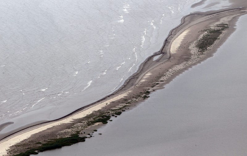 BP Oil Spill