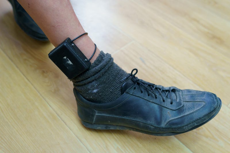 ankle band for home detainees
