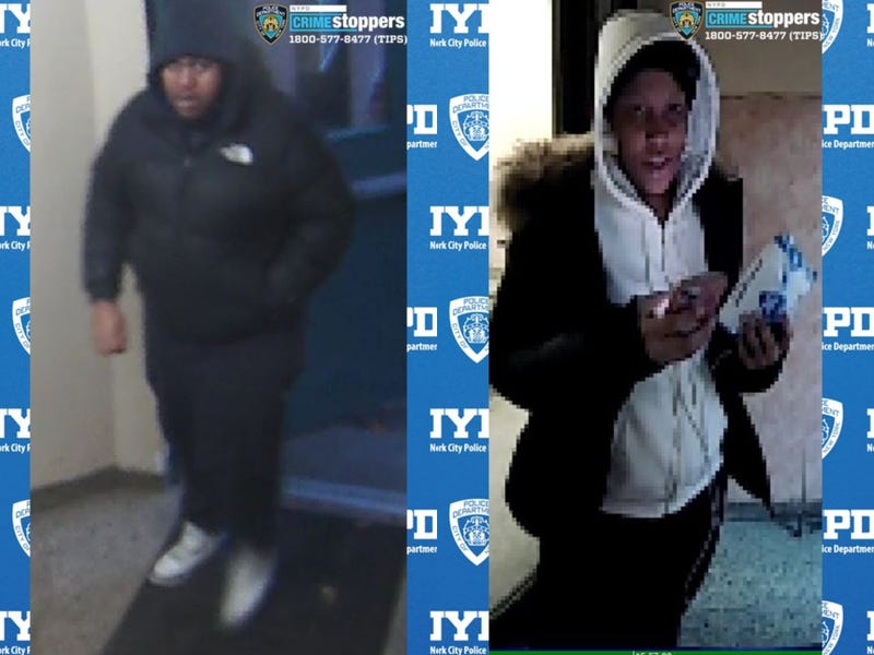 Police released surveillance photos of a man who broke into a Bronx apartment on Friday, and a woman who served as lookout.