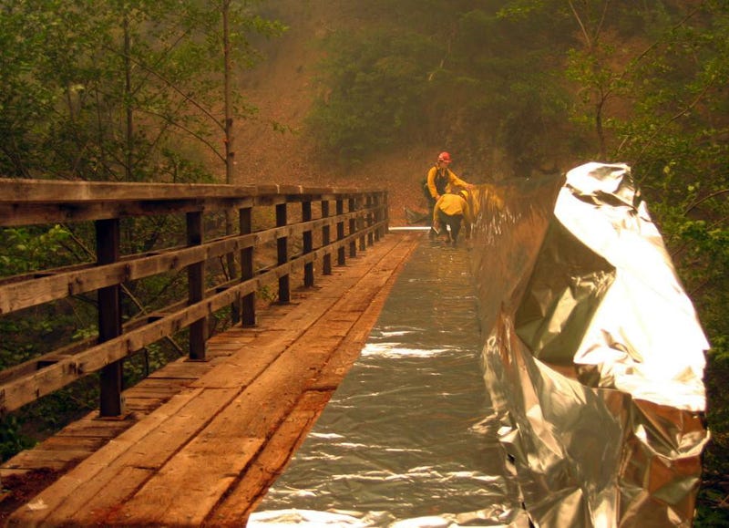In an effort to protect the massive sequoias in Yosemite from the Washburn Fire they are wrapping the trees in a tinfoil-like material developed by the company Firezat.