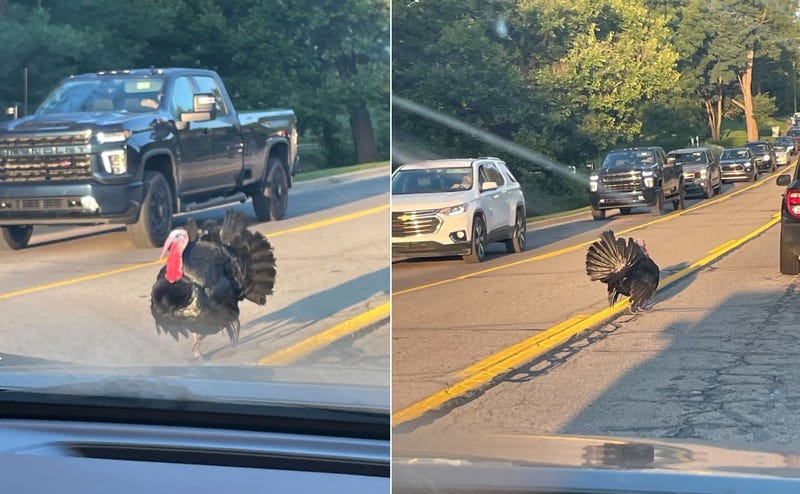 middle school turkey trouble