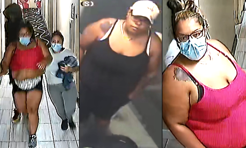 Police said the victims are lured to Bronx motel rooms by women who rob them of their cash and clothing