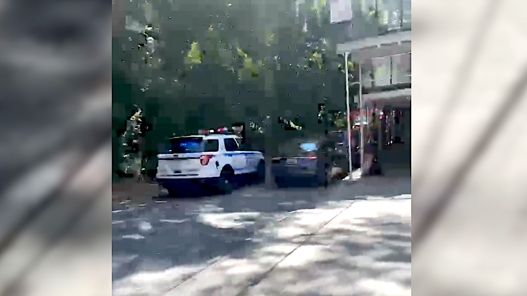Tree falls at Bronx pool killing 1 woman, injuring another