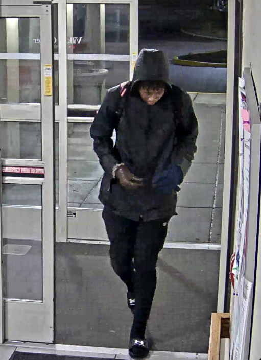 suspect in car break-ins