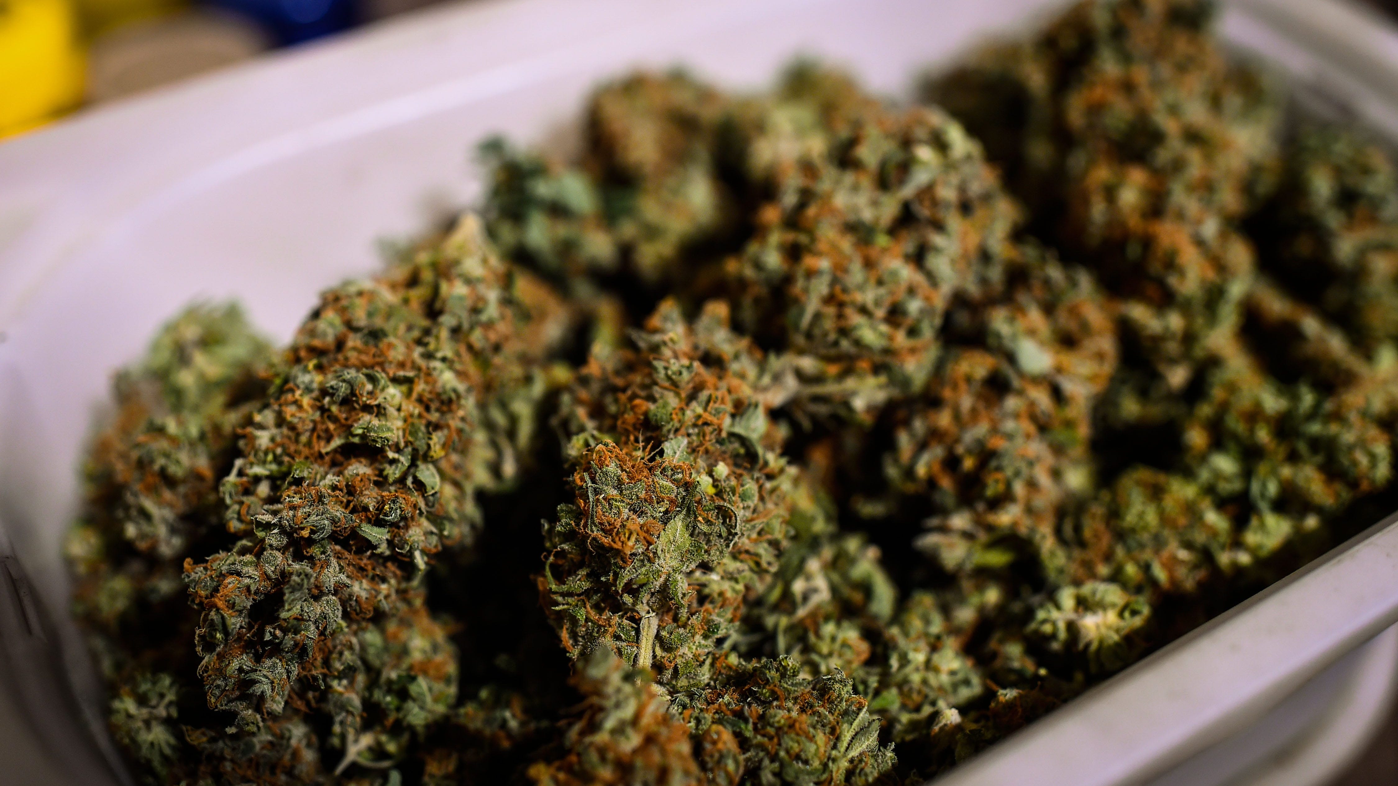 At Issue: Growing Demand For Drug-Case Expungements