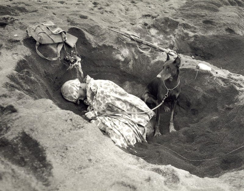 Pfc. Rez P. Hester of the Marine Corps Seventh War Dog Platoon on Iwo Jima takes a nap while Butch stands guard. February 1945.