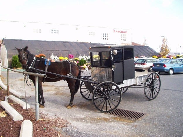 An Amish buggy