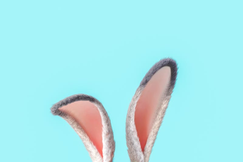 bunny ears