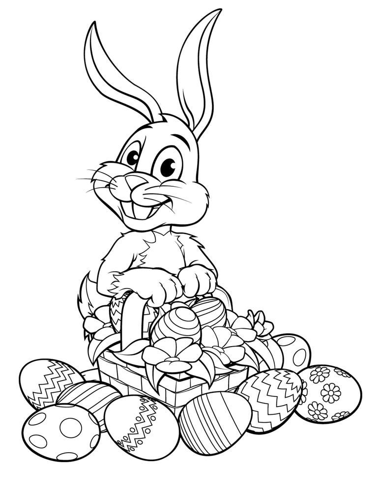 Bunny 1