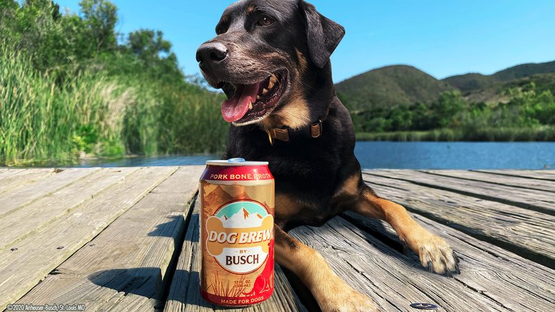 Anheuser-Busch, Beer, Dogs, Non Alcoholic, Dog Brew, Best Friends Animal Society, Charity