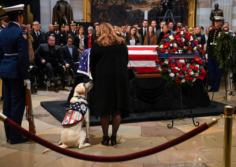 President George H.W. Bush's service dog Sully with Valerie Cramer of America's VetDogs at the U.S. Capitol