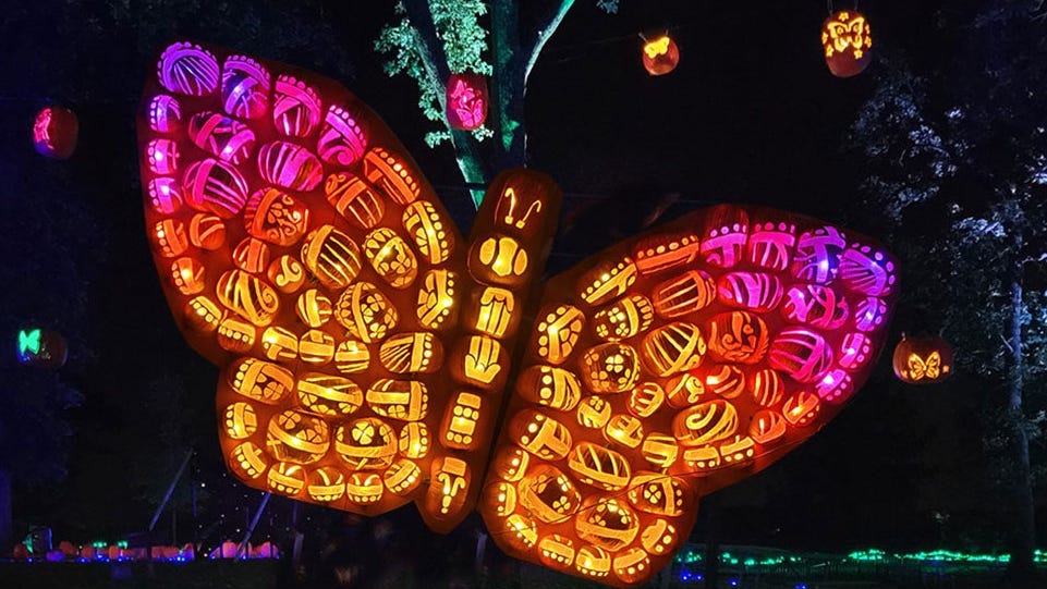 ‘There’s just jack-o-lanterns everywhere’: Jack O’Lantern World returns Sept. 30