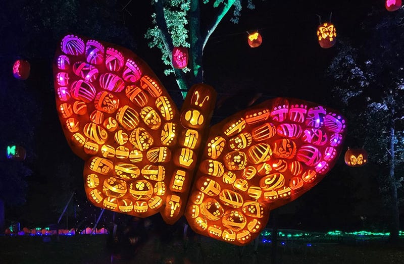 Jack O'Lantern World in Lake Zurich