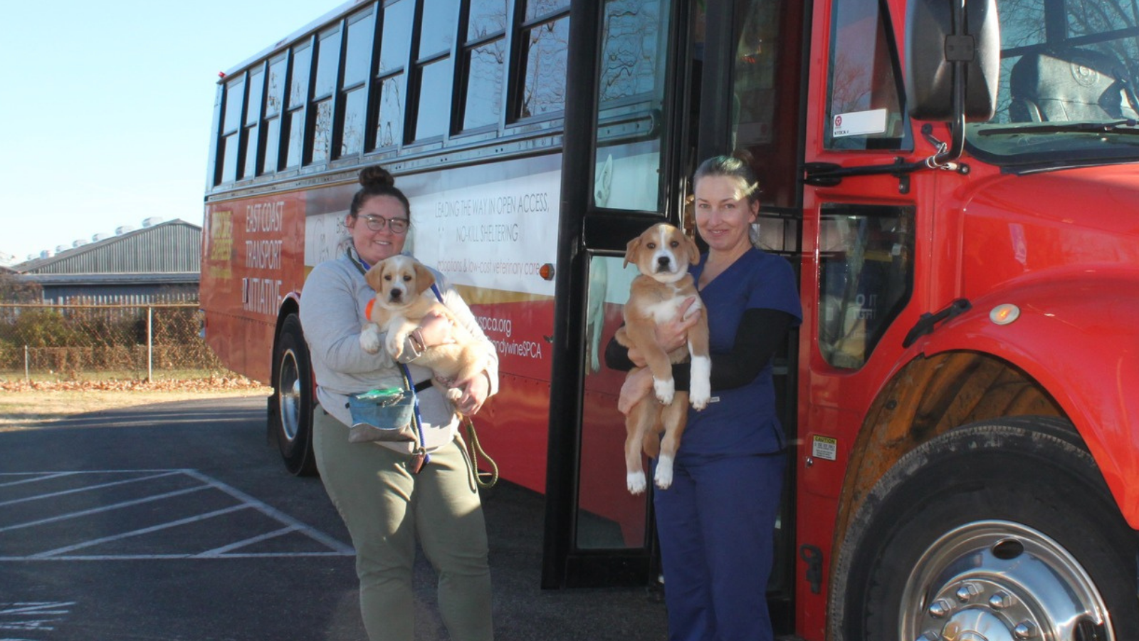 Brandywine Valley SPCA takes in dozens of shelter dogs, cats from tornado-ravaged Kentucky