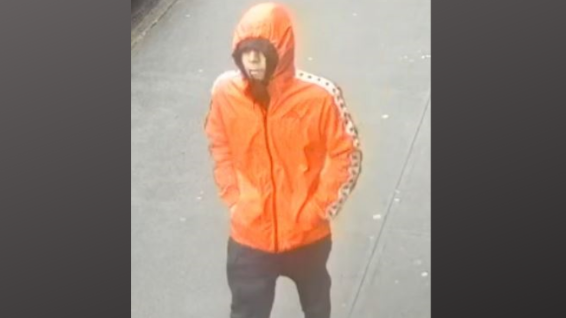 VIDEO: Suspect knocks woman, 77, to ground in Bronx purse robbery