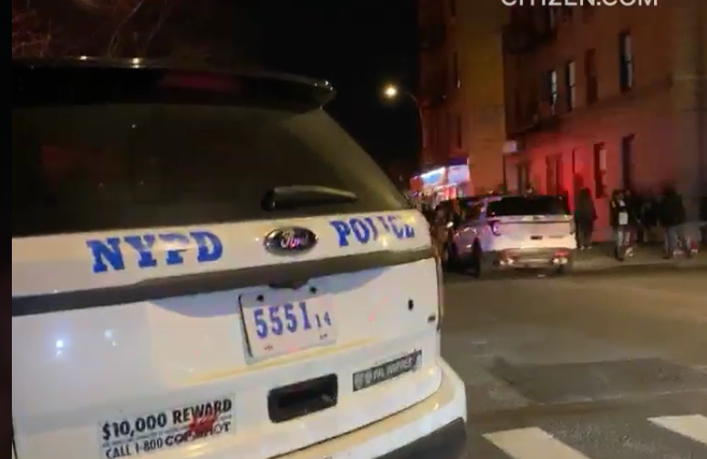 BX fatal stab