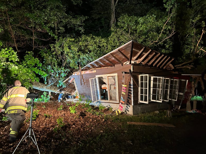 tree falls on cabin