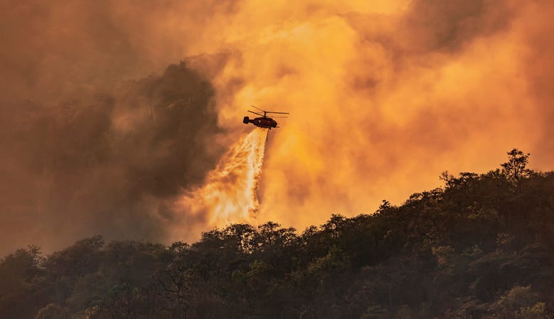 Cali Wildfire