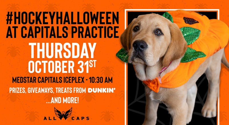 Caps Captain Dog
