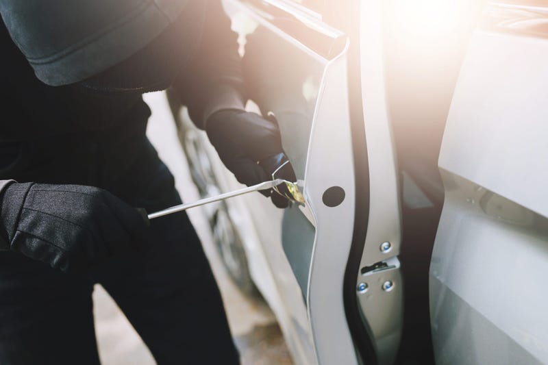 Car Break-in Suspect Arrested in Anderson County