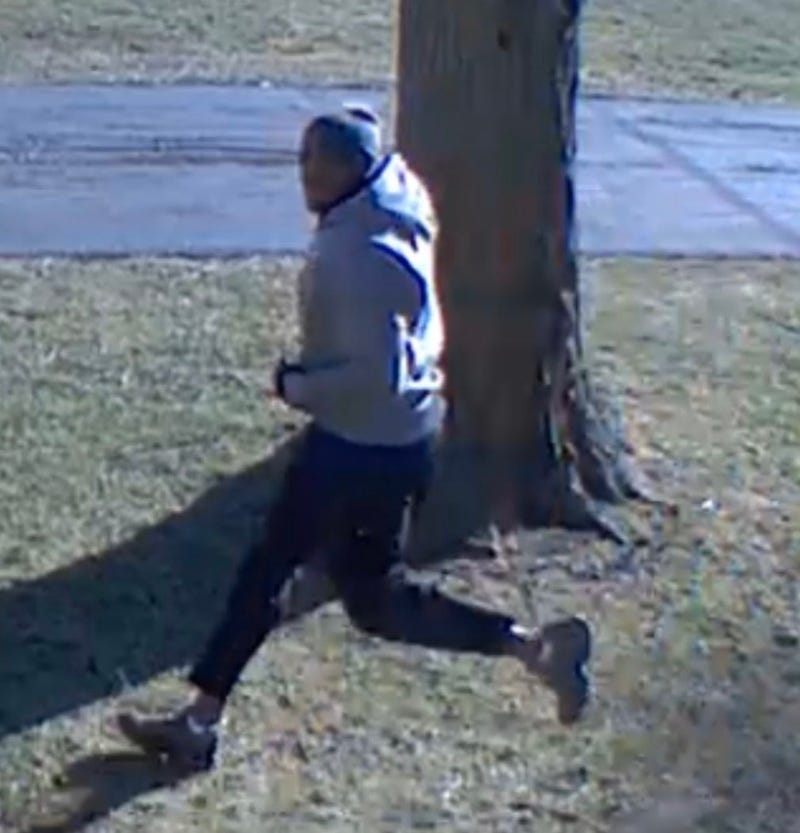 stolen car suspect