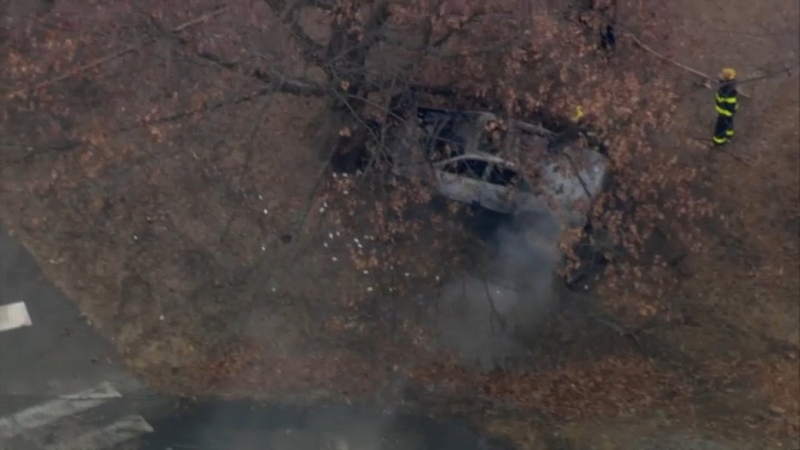 A man crashed this Toyota into a tree near Philadelphia Zoo on Tuesday before allegedly attacking everyone who came near him to offer any kind of assistance..