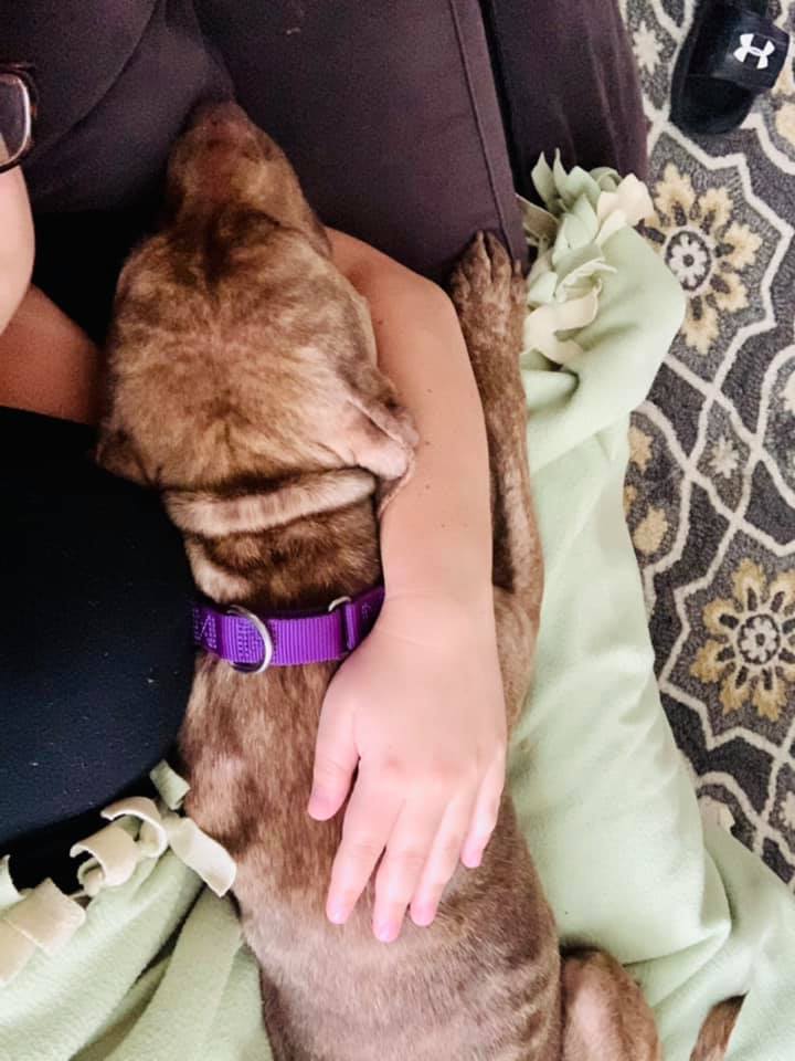 Cassandra snuggling with her foster