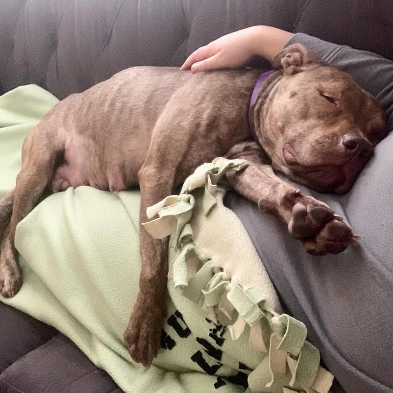 More snuggling Cassandra