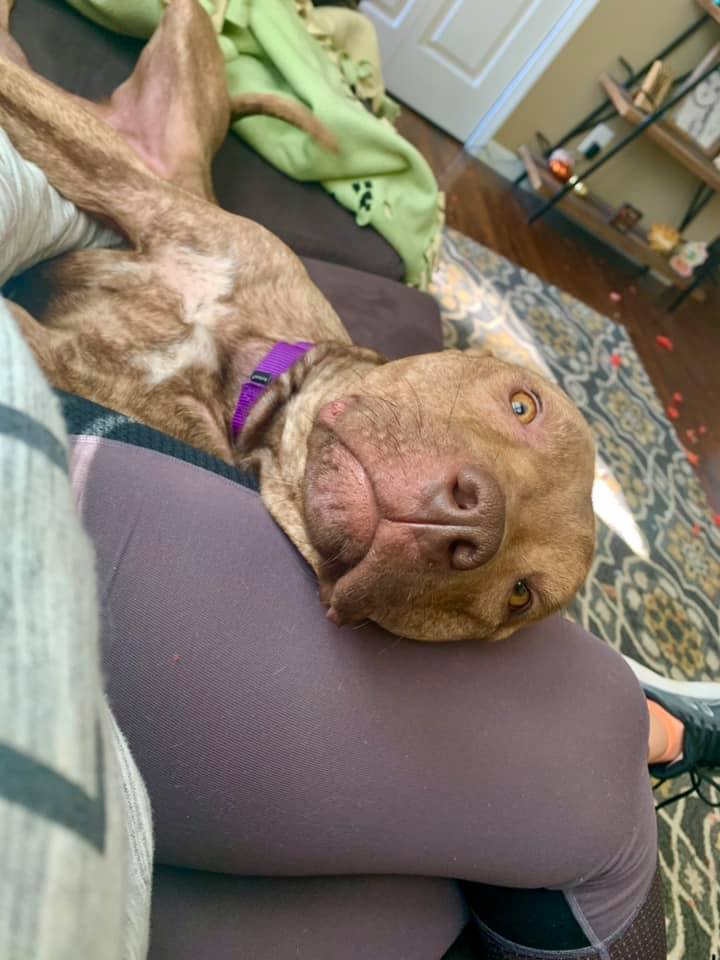 Cassandra chill-axing